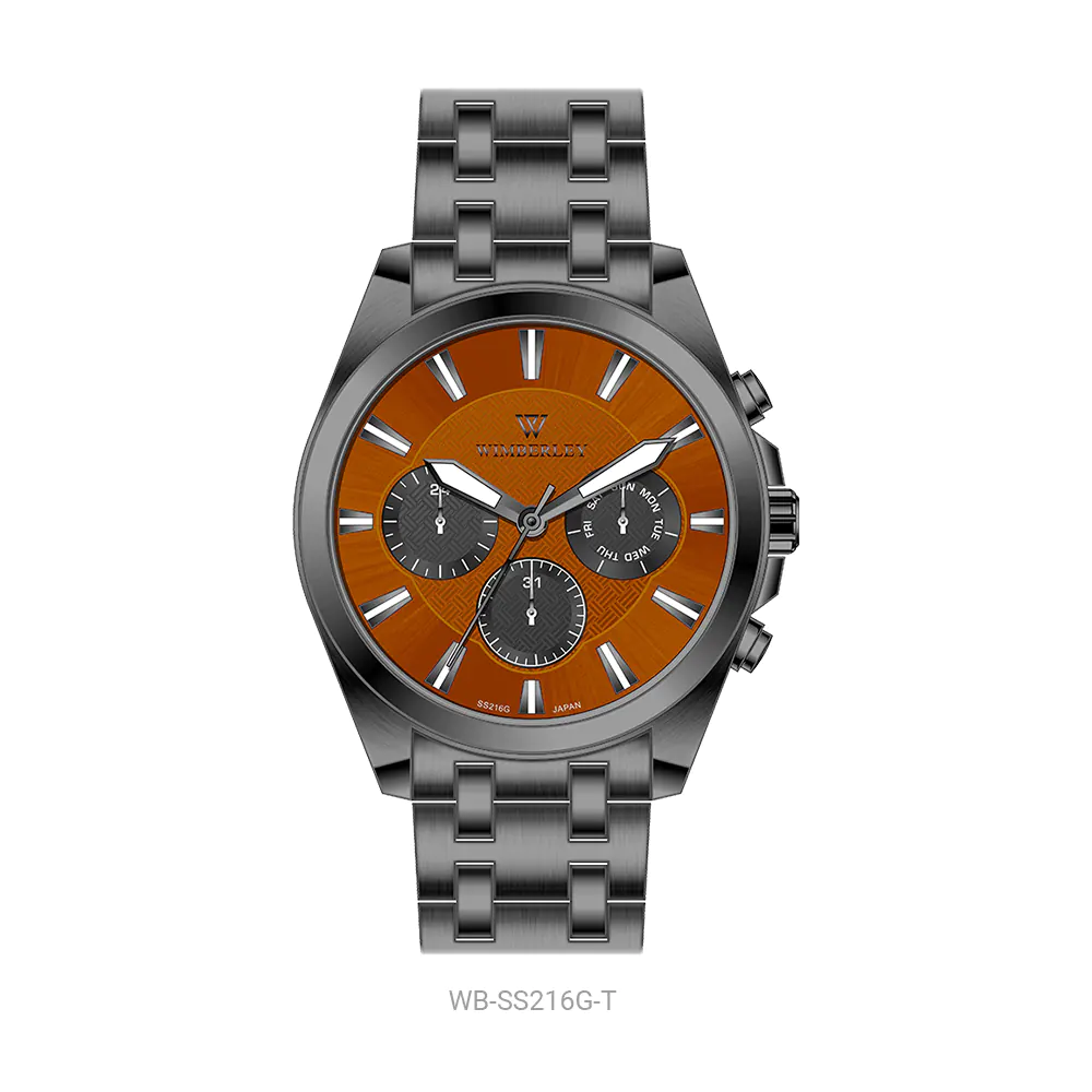 WB-SS216G-T